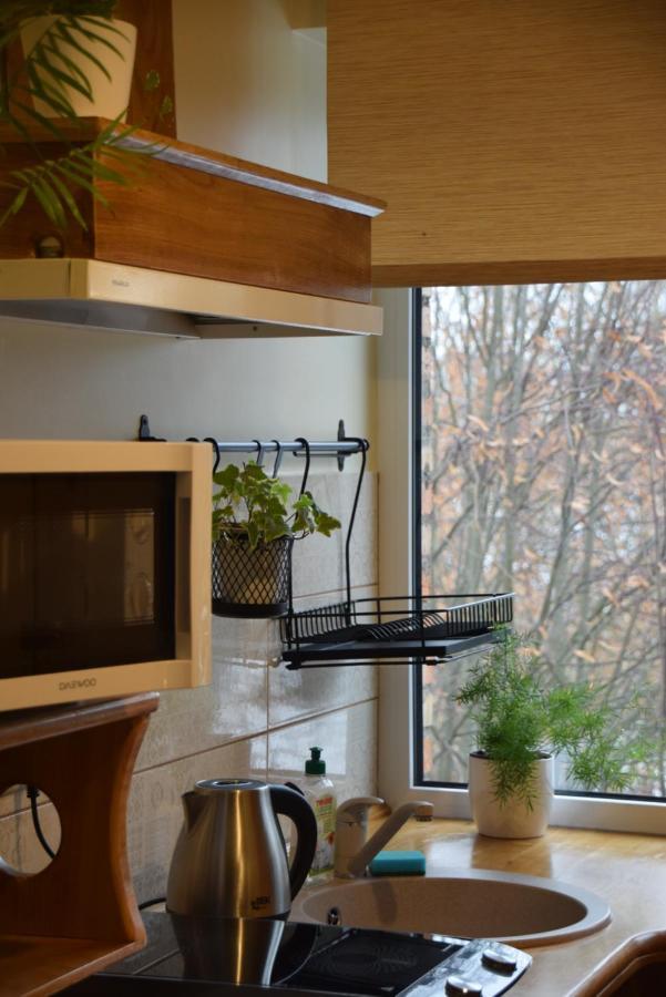 Parka Apartamenti Kuldīga Exteriér fotografie