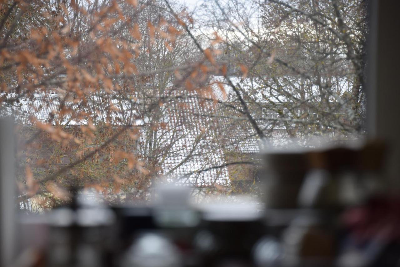 Parka Apartamenti Kuldīga Exteriér fotografie